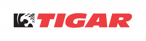 Tigar Cargo Speed Winter TG 225/65R16C 112/110R