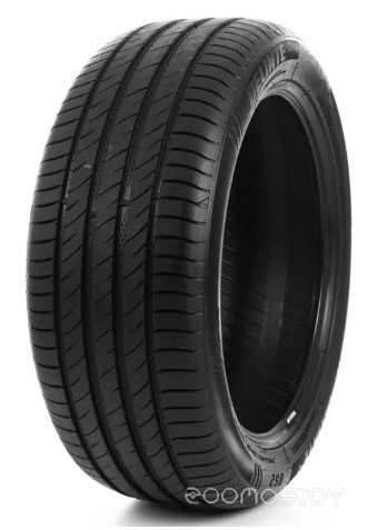 Delinte DS2 205/60R15 91V