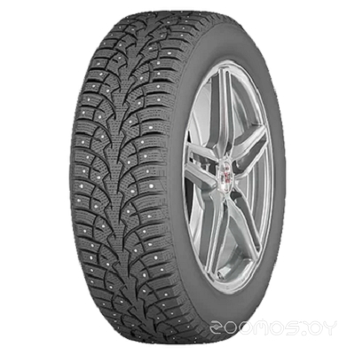 Arivo Ice Claw ARW4 195/55R15 85H