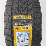 Delinte Winter WD1 255/45R18 103H