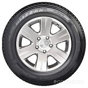 Bridgestone Blizzak W810 205/75 R16 110/108R