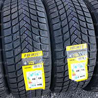 Delinte Winter WD6 205/55R17 95H