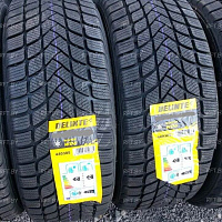 Delinte Winter WD6 195/55R16 87H