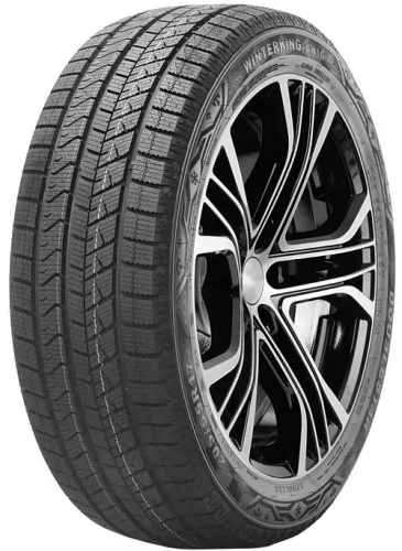 DoubleStar DW16+ 205/55R16 91T