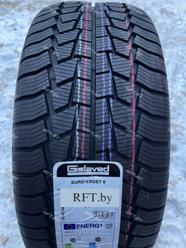 Gislaved Euro Frost 6 225/65 R17 106H
