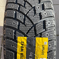 Delinte Winter WD42 255/55R18 109T