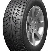 DoubleStar DW07 195/65R15 91T