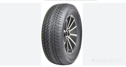 Royal Black Royal Winter HP 205/60R15 91H