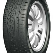 Habilead IceMax RW505 195/55R16 87H