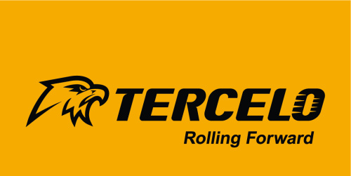 Tercelo BlueSnow 195/65R15 91V