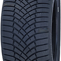 Toyo Observe EWS1 225/45R17 94V