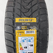 Delinte Winter WD1 225/45R18 95H