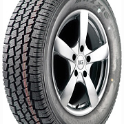 Maxxis MA-W2 Wintermaxx 195/75R16C 107/105R